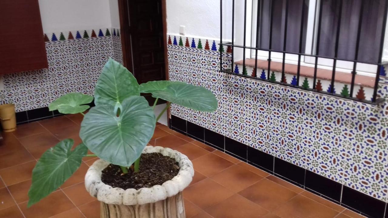 Ferienwohnung Patio Pompeyos Córdoba Exterior foto